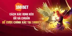 Cách xác định kèo đá gà chuẩn để cược chính xác tại 188Bet