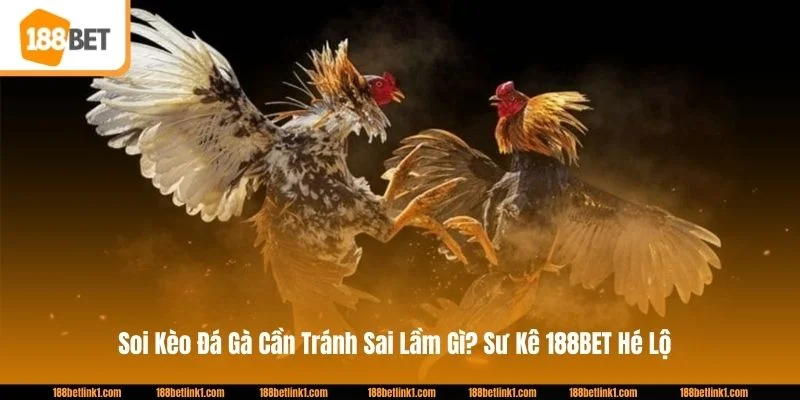 Soi Kèo Đá Gà Cần Tránh Sai Lầm Gì? Sư Kê 188BET Hé Lộ
